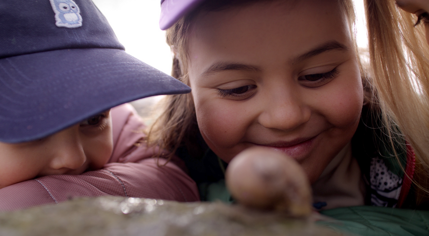 Children curiously observing a snail