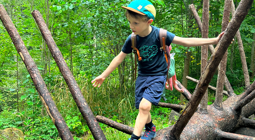 Boy in hiking clothes climbs over a tree trunk in a green landscape
