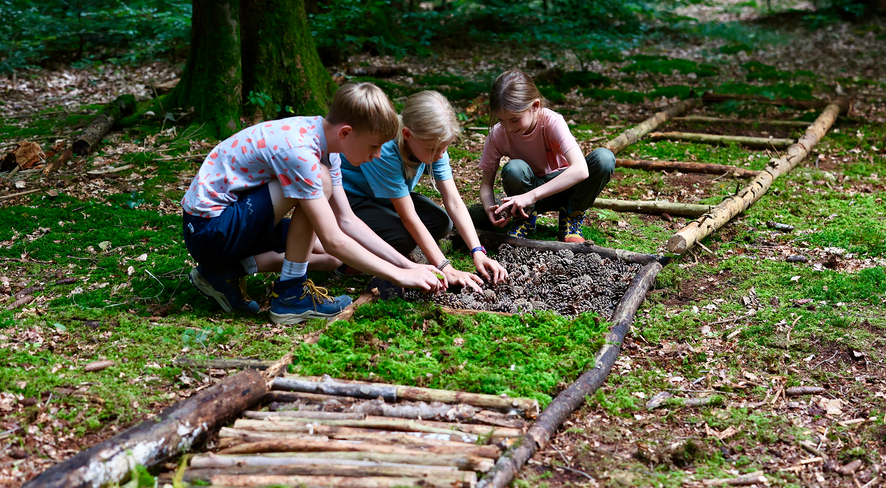 Three kids lay a barefoot path together on the forest floor