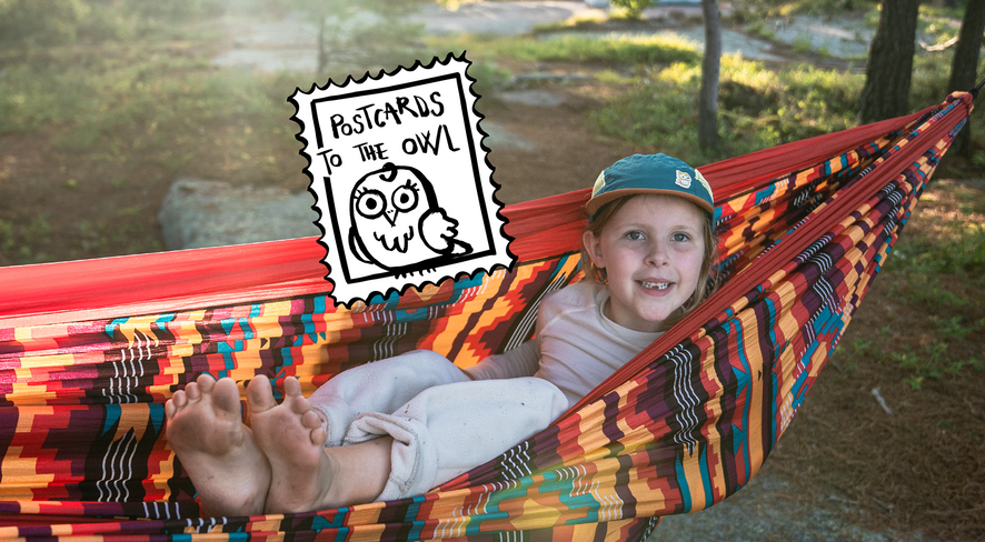 child in a hammock between trees