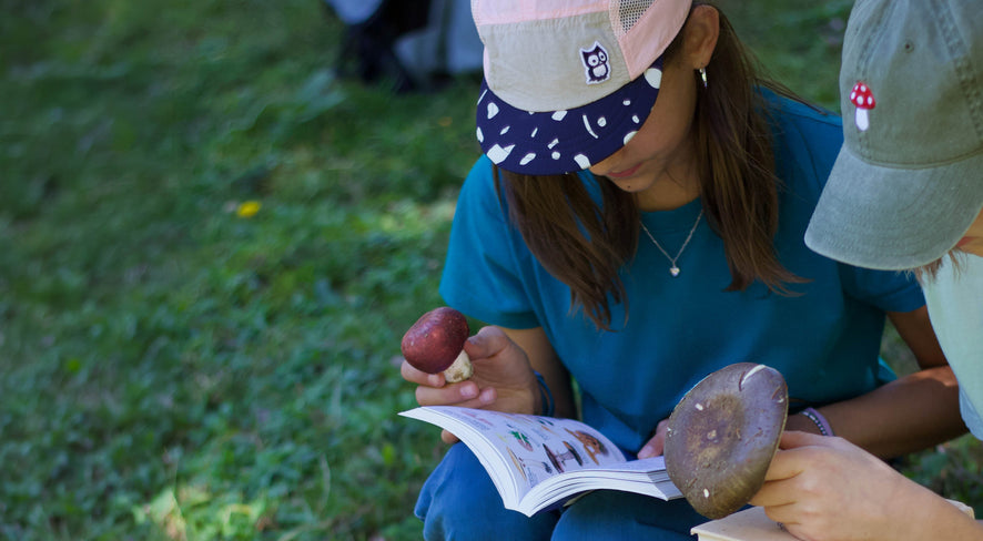Kids identifying mushrooms with a book