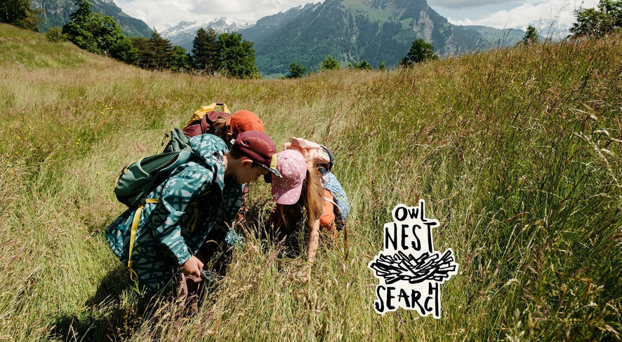 On the trail through mountain and valley: Where is the owl treasure hidden?