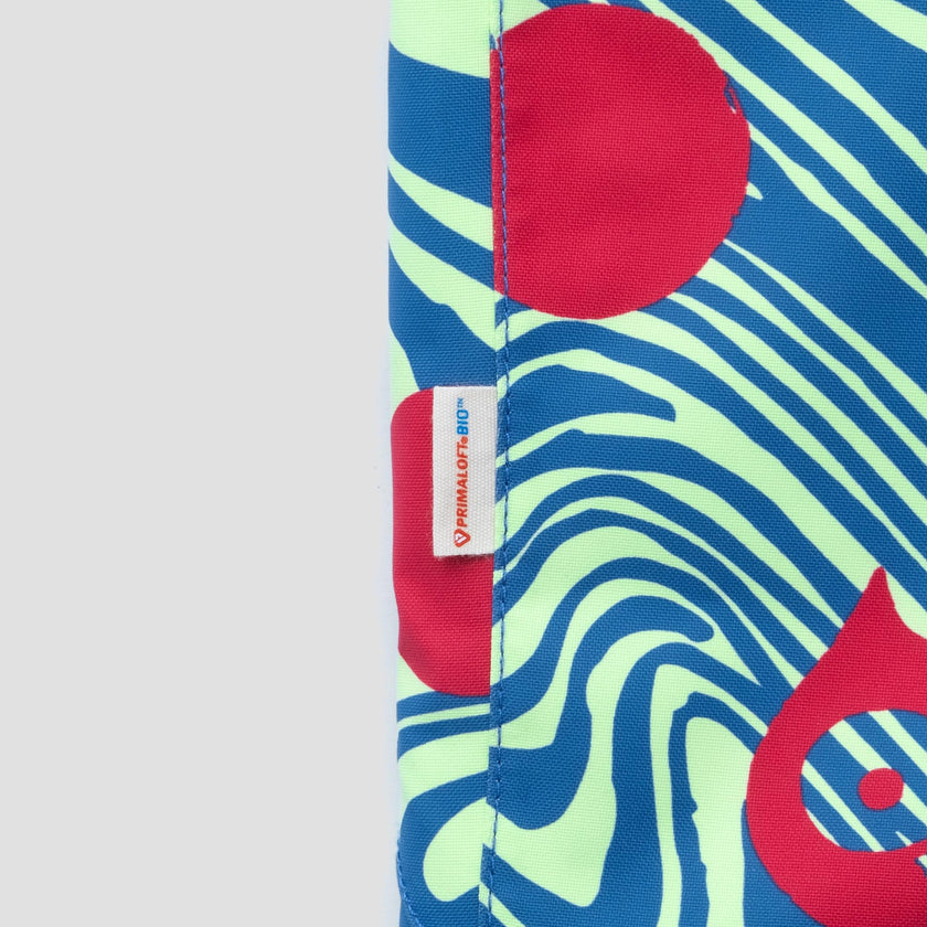 Corbet snow bib pants