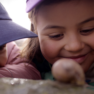 Sustainability Starts Small: Insights from the Zoo Director