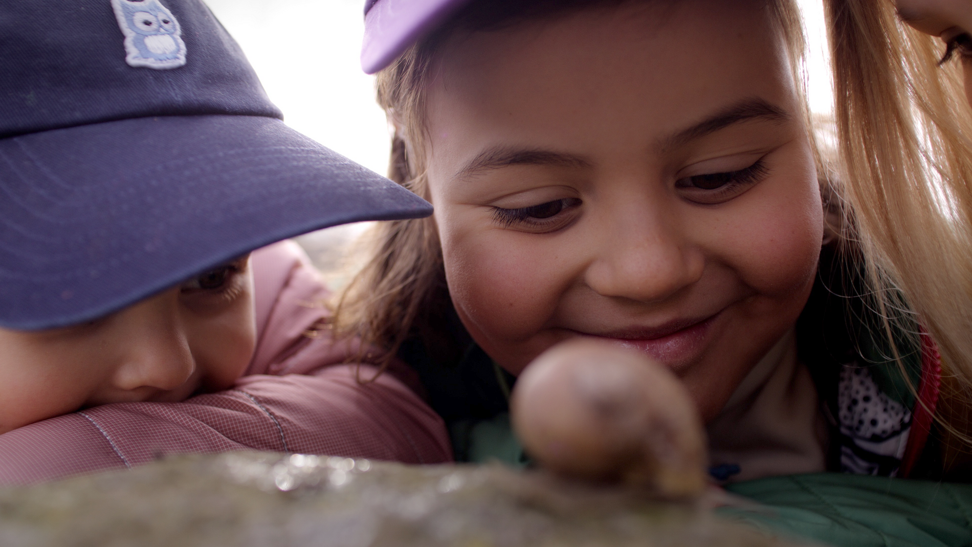 Sustainability starts small: Insights from the Zoo Director