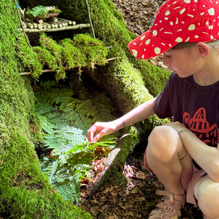DIY with kindwaldundwiese: Gnome hut between roots and imagination