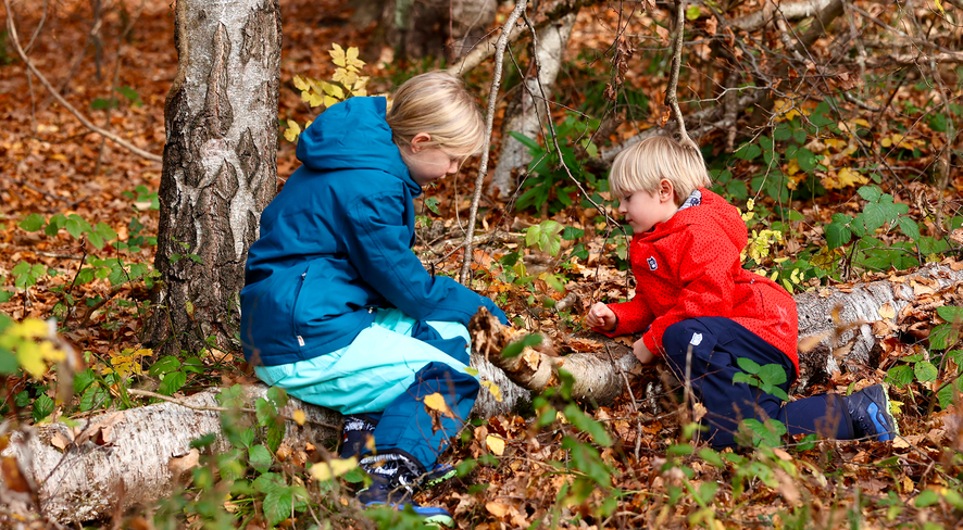Two kids sit on a tree trunk in the woods.