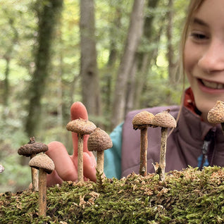 DIY with kindwaldundwiese: Making mushrooms from acorn caps