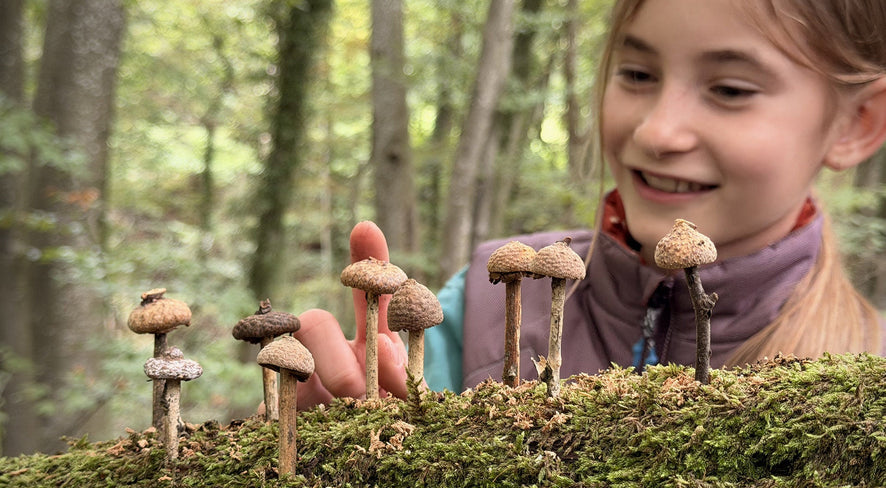 Girl pointing at crafted acorn mushrooms