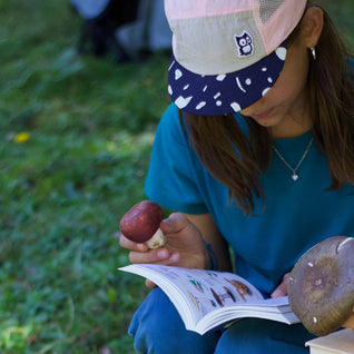 Autumn in the woods: How to go mushroom hunting with kids