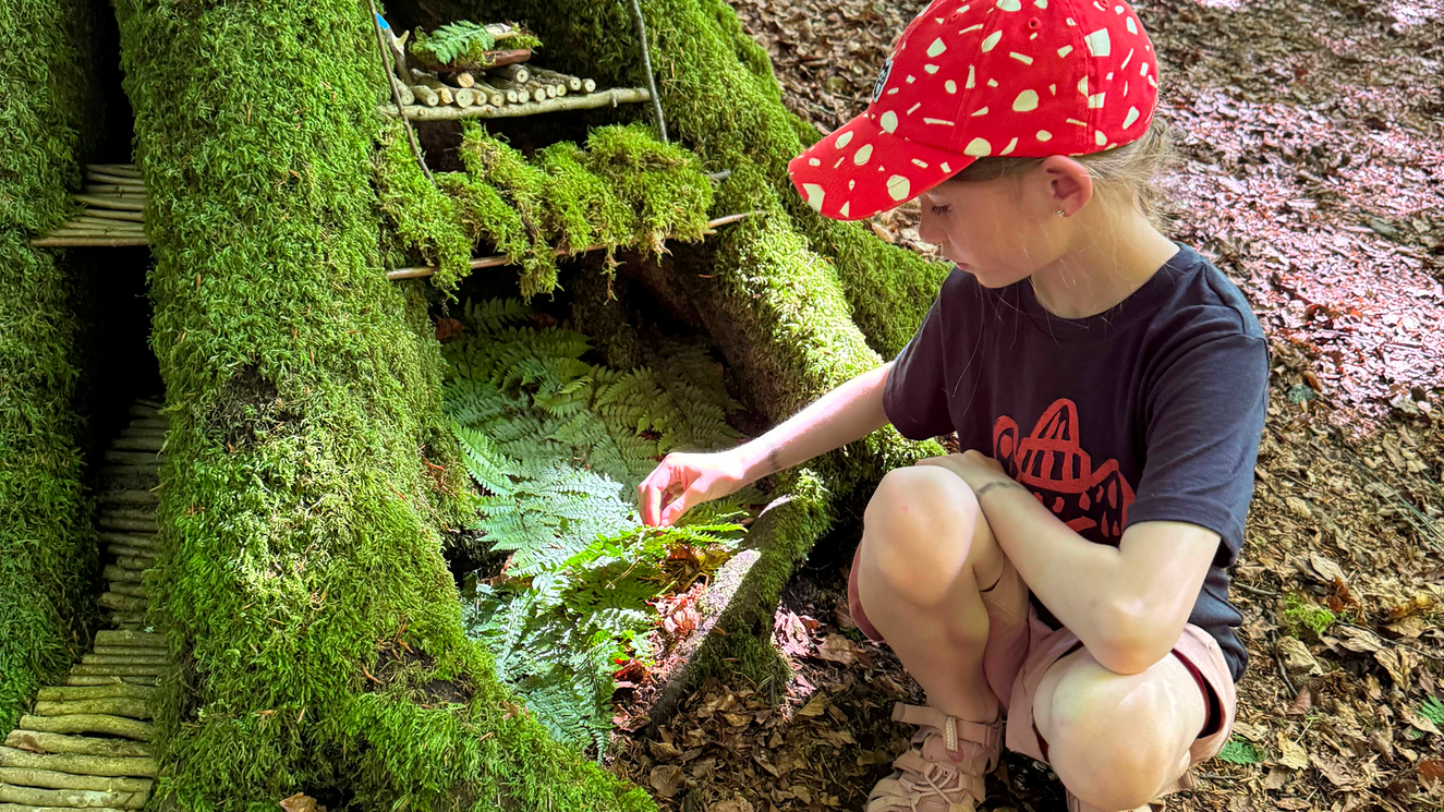 Building a Gnome Hut
