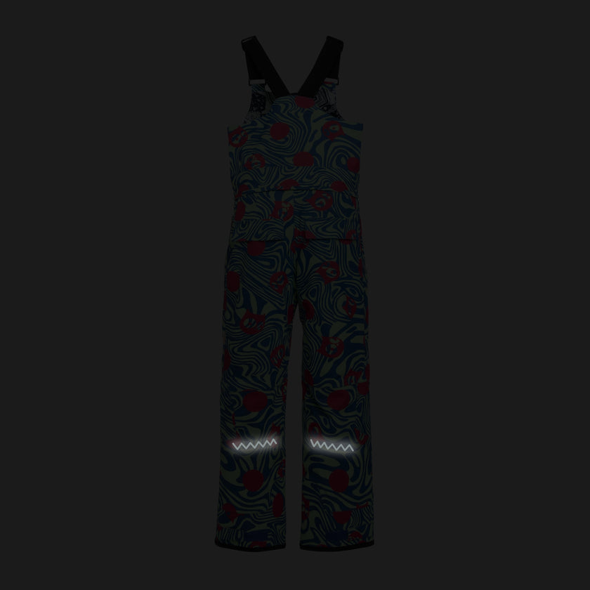 Corbet snow bib pants 