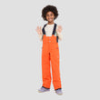 Dait 3 layer all season bib pants (6)