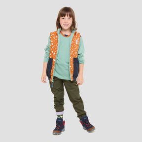 Icon reversible PrimaLoft vest 
