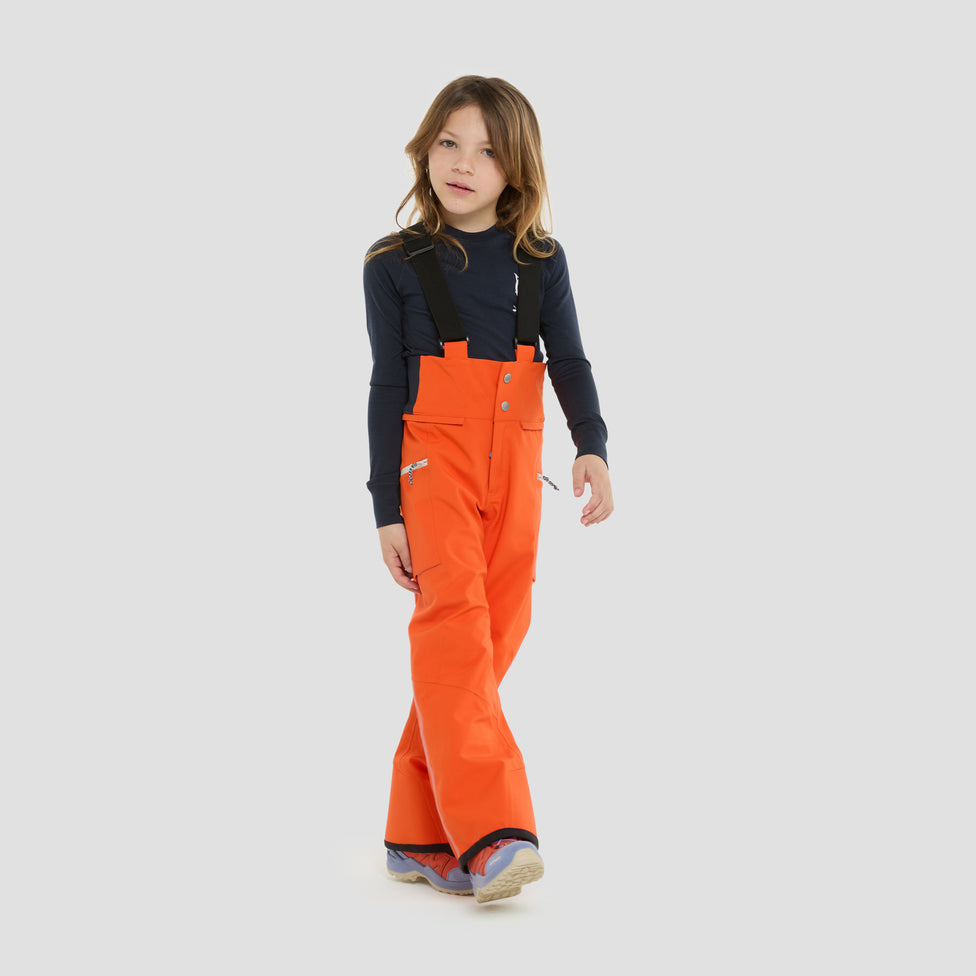 Dait 3 layer all season bib pants